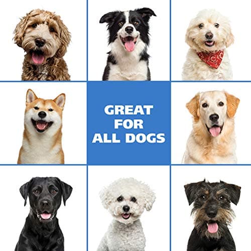 Wahl USA Pet Friendly Waterless No Rinse Shampoo for Animals – Lavender & Chamomile Scented - Cleaning, Conditioning, Detangling, & Moisturizing Shampoo for Dogs – 7.1 Oz - Model 820014A — view 6