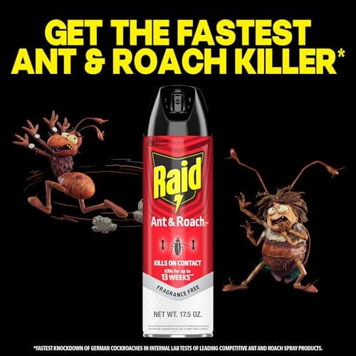 Raid Ant & Roach Killer, Fragrance Free Bug Killer for Home Use, Kills Bugs on Contact, 17.5oz — view 5
