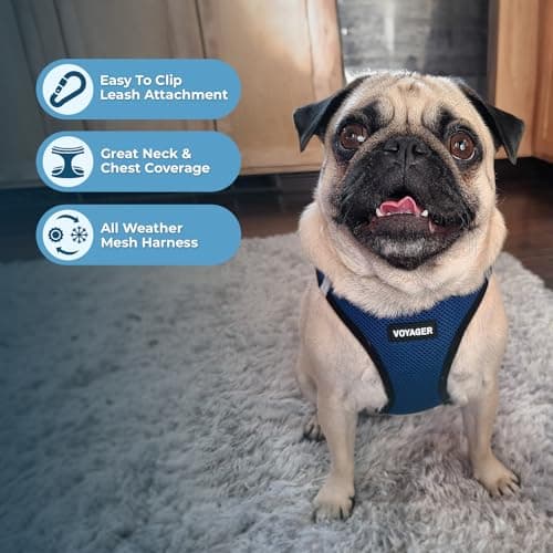 Best Pet Supplies Voyager All Weather No Pull Step-in Mesh Dog Harness with Padded Vest, Best Pet Supplies, Medium, Blue Base — view 2