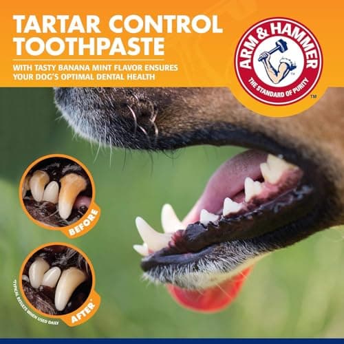 Arm & Hammer for Pets Tartar Control Dog Dental Care Kit, Banana Mint Flavor Toothpaste with Baking Soda, Double-Sided Toothbrush and Finger Brush Included, 2.5 Oz, 3-Piece - 2 Pack — view 3