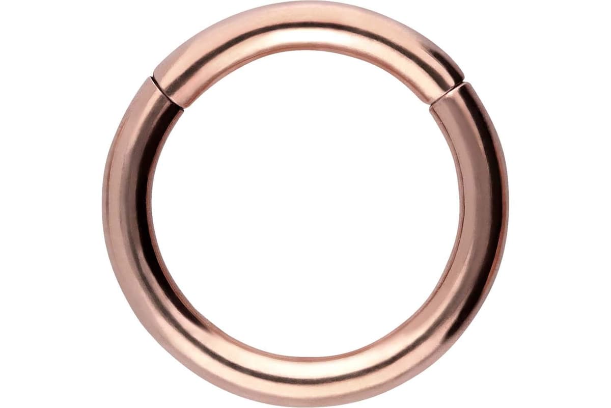 PIERCINGLINE Anillo segmento Clicker de acero quirúrgico – Piercing en oro, plata, rosa, negro o azul – para nariz, tabique, oreja, hélice o tragus — view 60