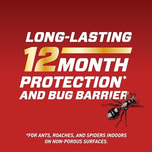 Ortho Home Defense Insect Killer for Indoor & Perimeter2 with Comfort Wand, Controls Ants, Roaches, and Spiders, 1.1 gal — view 3