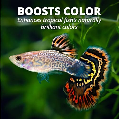 TetraPro Tropical Color Crisps, Fish Food With Natural Color Enhancers, Tropical Fish Food, 7.41 Ounces — view 4