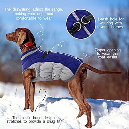 FUAMEY Dog Coat for Medium Dogs,Waterproof Dog Winter Jacket with Harness Built in Puppy Cold Weather Coats Reflective Pet Vest with Zipper Warm Fleece Dogs Snowsuit Windproof Blue M — view 3