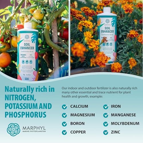 MARPHYL All-Purpose Plant Food – Organic Nutrient-Rich Fertilizer & Soil Enhancer for Indoor & Outdoor Flowers, Vegetables, Succulents, Bamboo & Hydroponics — view 4