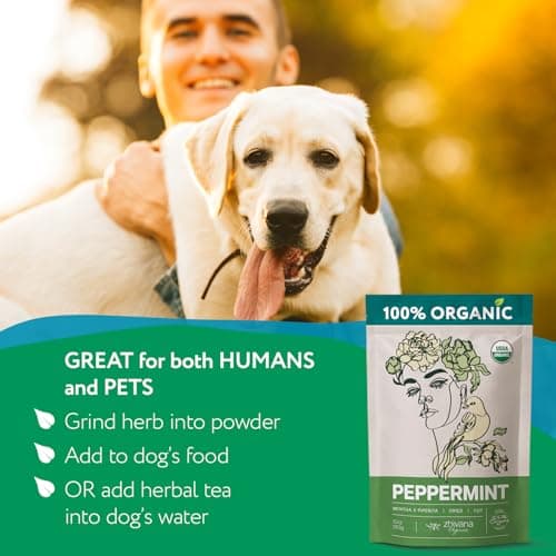 Organic Peppermint Tea Loose Leaf - Mint Tea - Energy Without Caffeine 3 oz — view 5