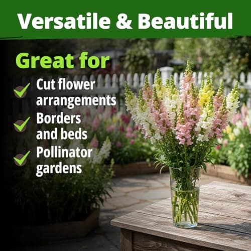 HOME GROWN Snapdragon Northern Lights Seeds, 10,000 Flower Seeds for Planting 2026 Spring, Pastel Garden Blooms of Snap Dragon, Pollinator Friendly Outdoor Cut Flowers (Antirrhinum majus) — view 4