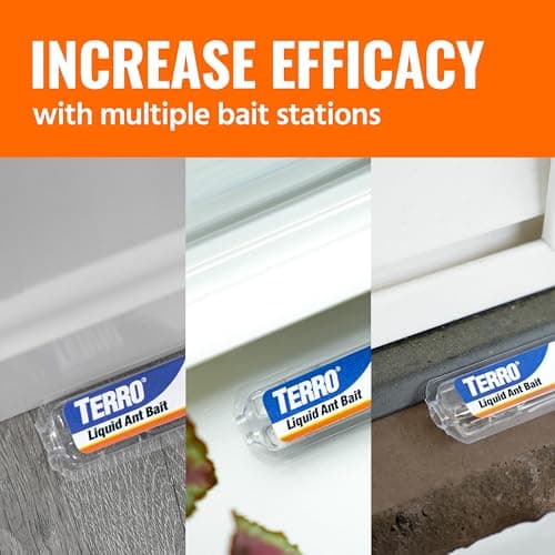 Terro, Ant Killer Bait Stations T300B - Liquid Bait to Eliminate Ants - Bait System - Stations for Effective Indoor Ant Control, 12 Count — view 8