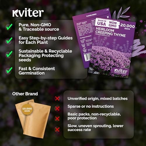 KVITER 20,000 Creeping Thyme Seeds (Thymus Serpyllum) – Wild Thyme, Aromatic Ground Cover, Purple Perennial Flower Seed Packets – Great Non GMO Herb Seeds for Outdoor Garden, Landscapes & Paths — view 4