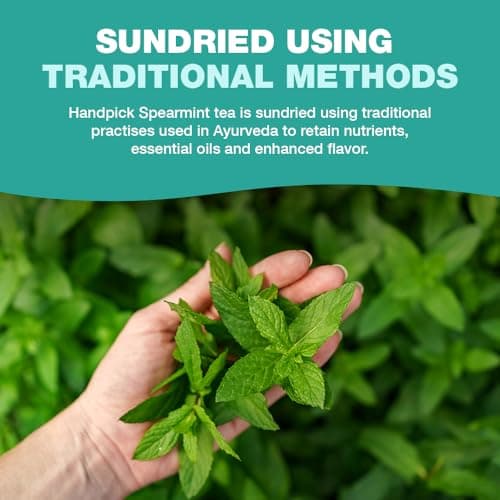 HANDPICK, Spearmint Tea Bags (100 Herbal Tea Bags) | Refreshing Mint Tea | Non-GMO, Gluten Free | Round Eco-Conscious Teabags — view 4