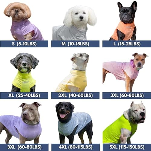 Spark Paws Sunblock Dog T-Shirt, SPF30 Protection, Lightweight Breathable Quick Dry for Dogs with Sensitive Skin - Bees & Flamingo (Set of 2) - Size 4XL — view 2
