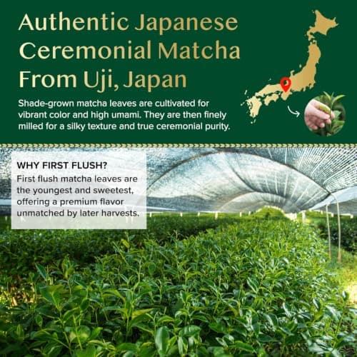VAHDAM Ceremonial Matcha Green Tea Powder 1.6 oz | Certified Ceremonial Grade Japanese Matcha | Handpicked from Uji, Japan | Smooth & Balanced Taste — view 3