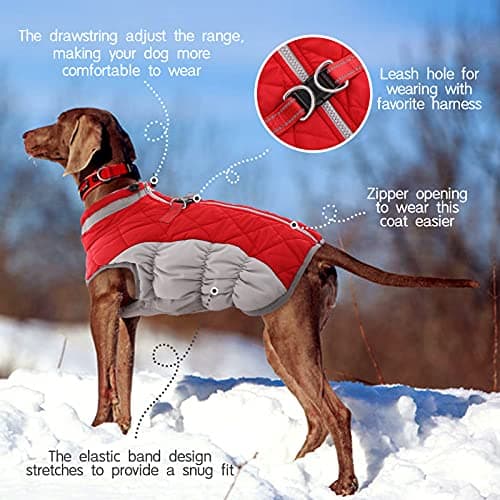 FUAMEY Dog Coat for Medium Dogs,Waterproof Dog Winter Jacket with Harness Built in Puppy Cold Weather Coats Reflective Pet Vest with Zipper Warm Fleece Dogs Snowsuit Windproof Red M — view 3