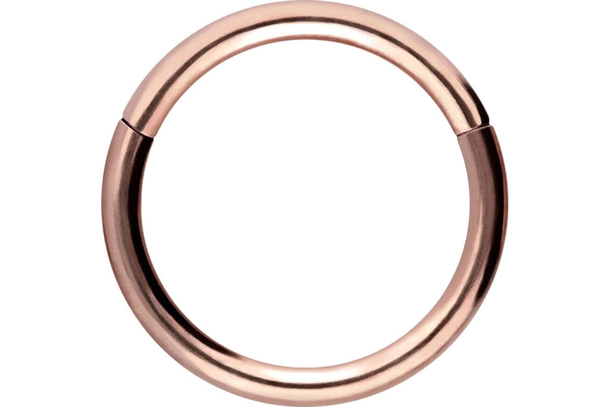 PIERCINGLINE Anillo segmento Clicker de acero quirúrgico – Piercing en oro, plata, rosa, negro o azul – para nariz, tabique, oreja, hélice o tragus — view 55