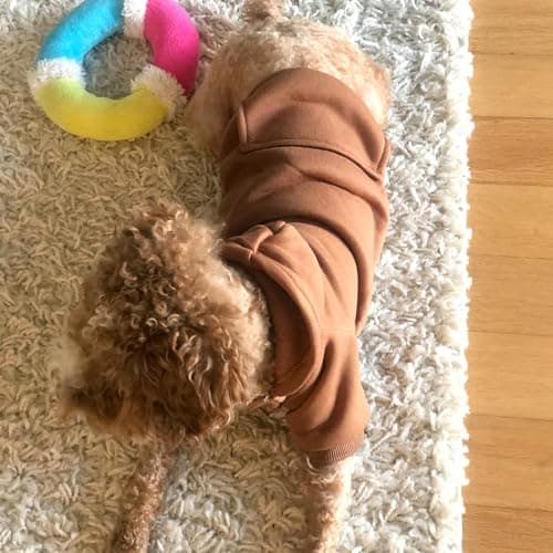 Jecikelon Soft Dog Hoodies for Small Dogs, Fleece Puppy Sweatshirt with Pockets, Warm Winter Cold Weather Coats for Pet Cat, Cute Clothes Puppy Costume (Coffee, Small)