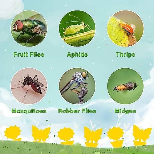 Fruit Fly Traps Fungus Gnat Traps Yellow Sticky Bug Traps 40 Pack No Harm and Odorless for Indoor Outdoor Use Protect The Plant — view 4
