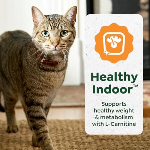 Greenies Feline Smart Purees Healthy Indoor Lickable Cat Treats with Real Chicken, 0.49 oz. Tubes, 20 Count — view 4