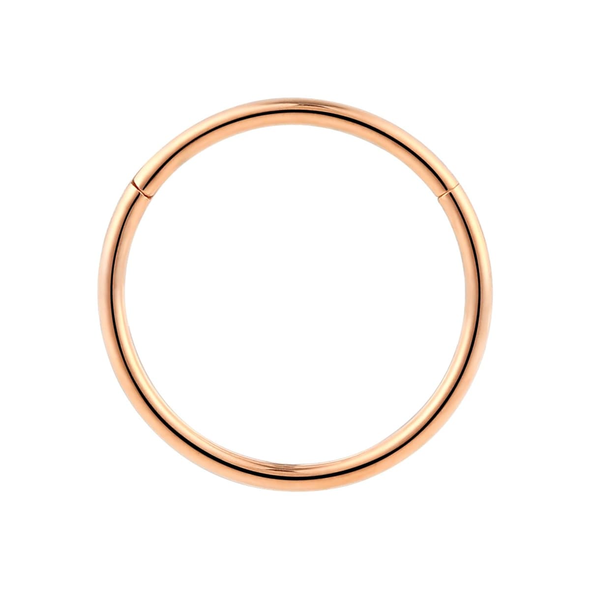 365 SLEEPERS 1pc Titanium Implant Grade Nose Rings 20G 18G 16G 14G 12G 10G 8G 6G Septum Hinged Segment Ring Body Piercing Jewellery Hoop Lip Rings Helix Cartilage Rook Earrings Nickel Free — view 3