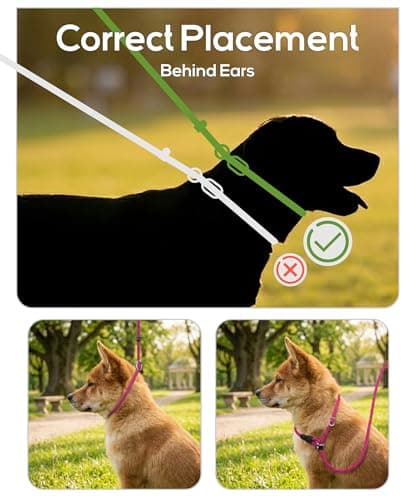 TagME Slip Lead for Dogs, No Pull Training Leash, Padded Handle (Hot Pink) — view 2