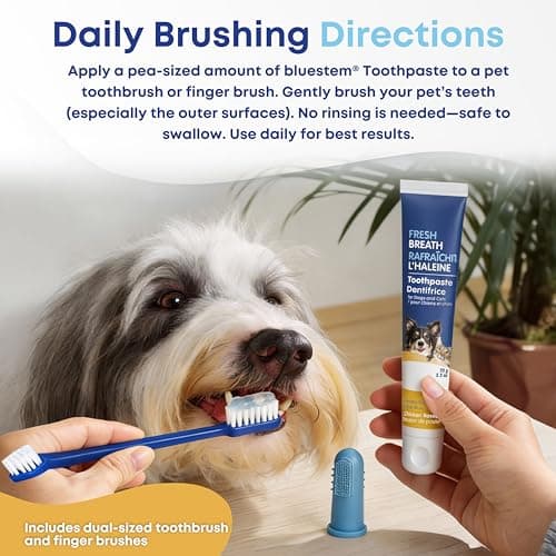 bluestem Cat and Dog Toothpaste – Scientifically Formulated Coactiv+ Pet Toothpaste Helps Reduce Plaque & Tartar, Freshens Breath, and Promotes Daily Dog and Cat Oral Care – Chicken Flavor (70g) — view 5