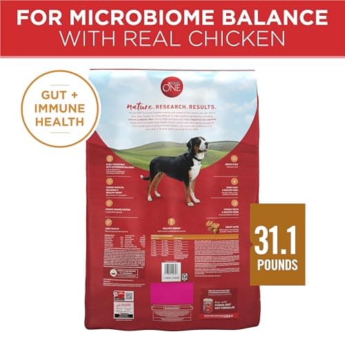 Purina ONE Chicken and Rice Formula Dry Dog Food - 31.1 lb. Bag — view 8