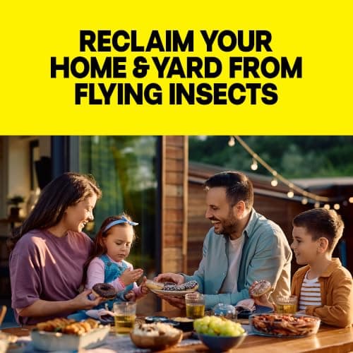 Raid Flying Insect Killer 7, Bug Spray, Insecticide Spray for Indoors & Outdoors, 18 oz — view 3