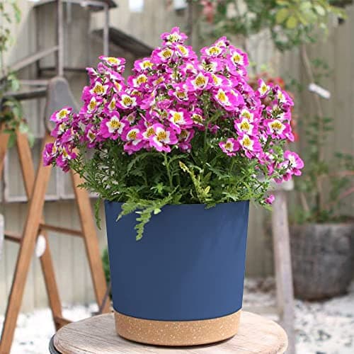 ZMTECH Plant Pots, Set of 6 6.5'' Self Watering Plastic Planter with Drainage Hole and Saucer,Modern Decorative Flower Pot for Indoor Outdoor House Plants, Succulents, Flowers - Blue — view 4