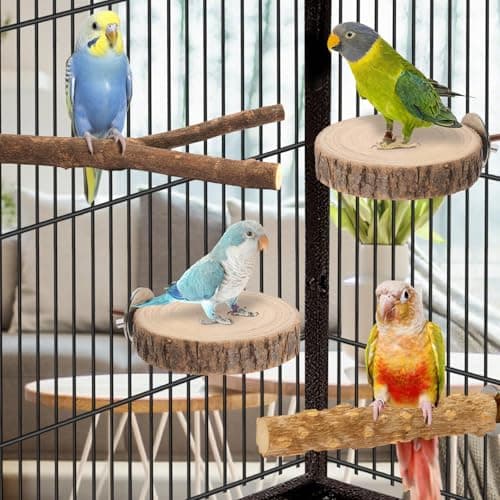 7-Piece Bird Perches for Cage- Wooden Parrot Stand with Fork Toys, Hanging Multi-Branch Platform, Hammock Swing, Gym Playstand & Chewing Toys - for Parakeets, Budgies, Lovebirds - Durable — view 2