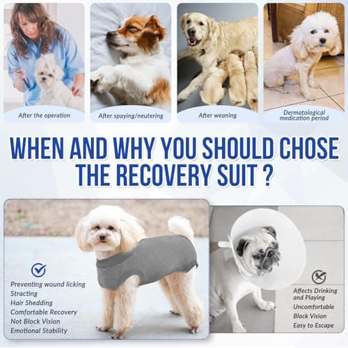 Lukovee Recovery Suit for Dogs, Onesie Surgery Recovery Suit for Female Male Dogs, Abdominal Wounds Cone E-Collar Alternative Prevent Licking Spay Recovery Suit (GY,XXL) — view 2