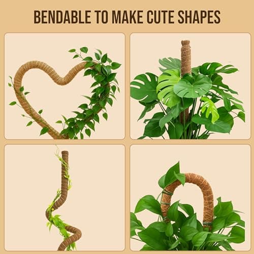 Moss Pole Monstera Plant Support, 2 Pack 48in Bendable Indoor Plant Stakes — view 5