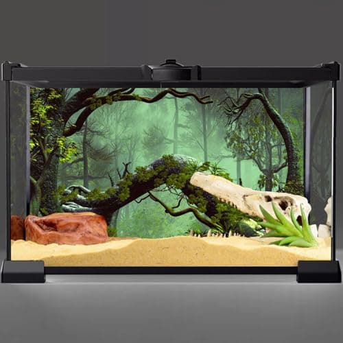AWERT 30x12 inches Foggy Forest Terrarium Background Stone Green Tree Tropical Reptile Habitat Background Rainforest Aquarium Background Durable Polyester Background