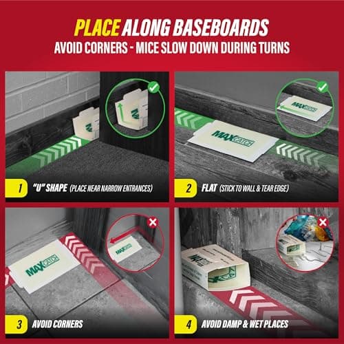 Catchmaster Max-Catch Mouse & Insect Glue Trap 36pk, Mouse Traps Indoor for Home, Sticky Pest Control Adhesive Tray for Catching Bugs, Bulk Classic Glue Boards — view 4