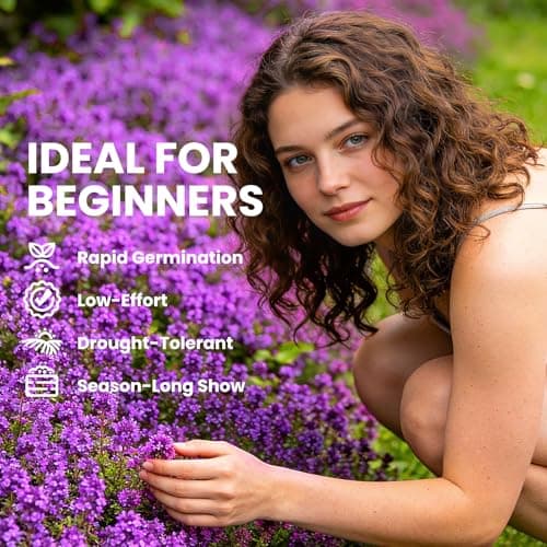Fruivity 20000+pcs Creeping Thyme Seeds for Planting, Perennial Ground Cover Plants Flowers Seeds Fragrant Herb Seeds for Lawns & Paths Garden — view 2