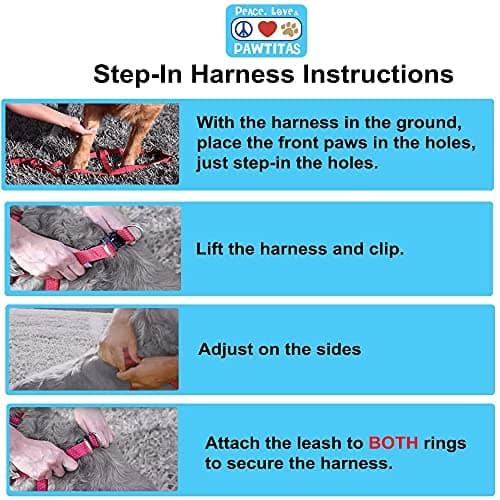 Pawtitas Reflective Step-in Dog Harness – Adjustable No-Pull Vest for Puppies to Seniors, Safe & Comfortable, S Teal — view 6