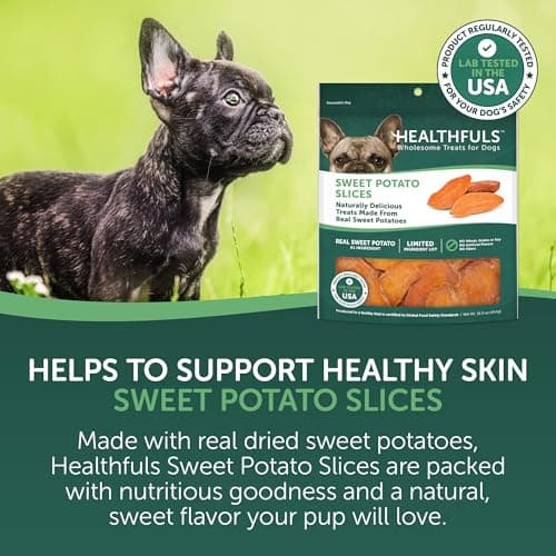 Healthfuls Sweet Potato Slices Healthy Dog Treats – Limited Ingredient, Grain Free, Made from Real Dried Sweet Potatoes, 16 oz — view 2