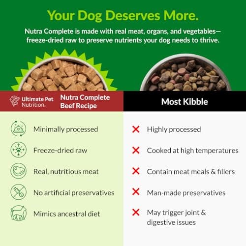 ULTIMATE PET NUTRITION Nutra Complete, 100% Freeze Dried Raw Veterinarian Formulated Dog Food with Antioxidants Prebiotics and Amino Acids (1 Pound, Beef) — view 2