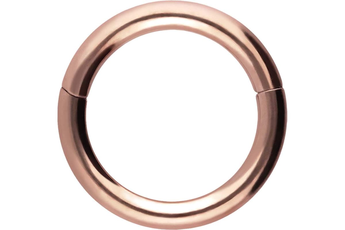 PIERCINGLINE Anillo segmento Clicker de acero quirúrgico – Piercing en oro, plata, rosa, negro o azul – para nariz, tabique, oreja, hélice o tragus — view 64