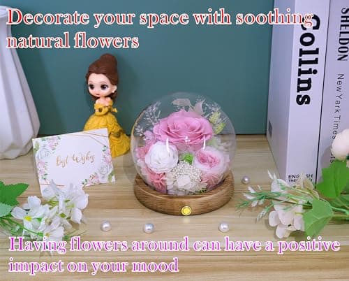 Valley of Rain & Forest Long-Lasting Real Flowers, Unique Floral Gift for You to Send Love for All Occasions, for Indoor Decoration (Pink Rose, White Rose) — view 4