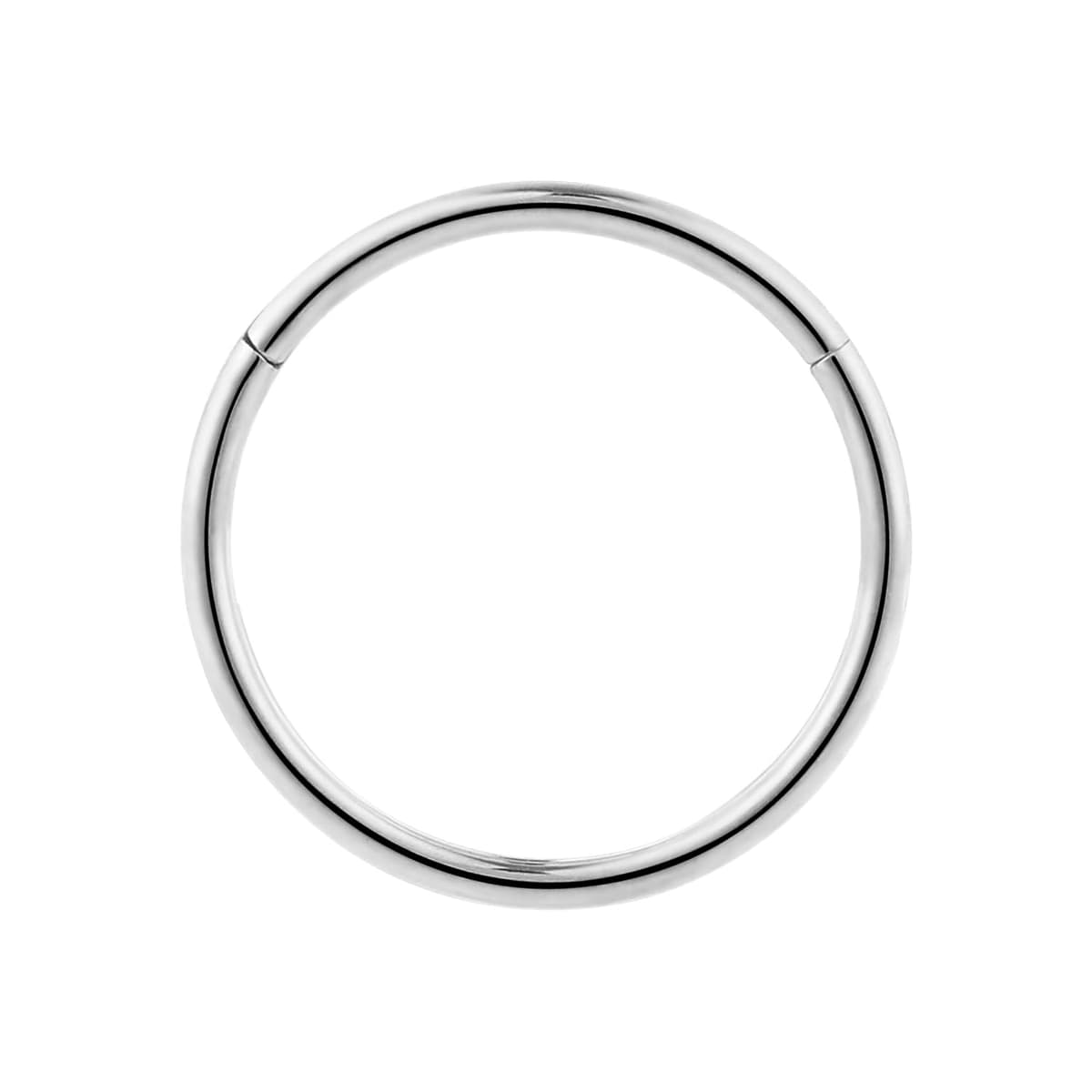 365 SLEEPERS 1pc Titanium Implant Grade Nose Rings 20G 18G 16G 14G 12G 10G 8G 6G Septum Hinged Segment Ring Body Piercing Jewellery Hoop Lip Rings Helix Cartilage Rook Earrings Nickel Free — view 3