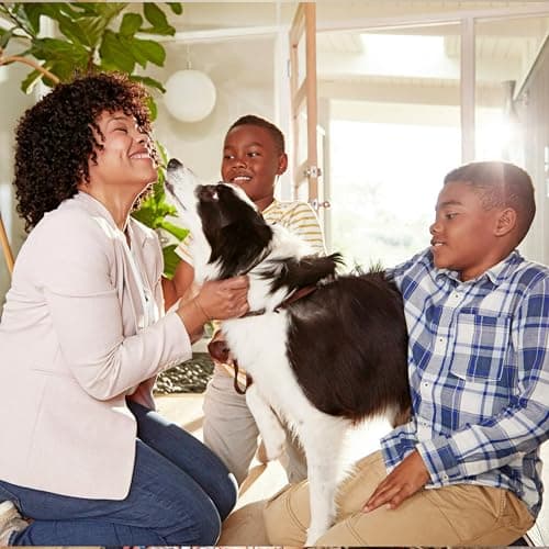 Filtrete 16x25x1 AC Furnace Air Filter, MPR 700, MERV 8, Tough on Pollen, Easy on Airflow, 3-Month Pleated 1-Inch Electrostatic Air Cleaning Filter, 2-Pack (Actual Size 15.68 x 24.56 x 0.78 in) — view 5