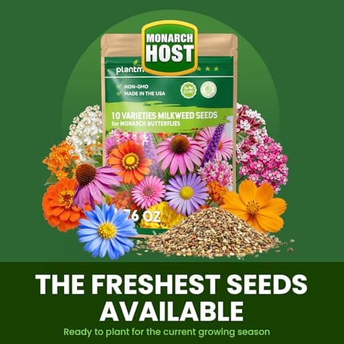 Milkweed Seeds for Monarch Butterflies – Wildflower Seeds Mix 18000+ Seeds (1.76 oz), Perennial Pollinator Garden Flowers, Attract Bees, Butterflies & Hummingbirds, Easy to Grow (1.76 oz) — view 3