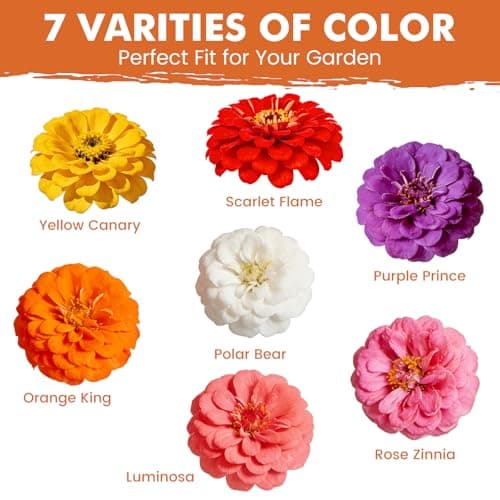 Fruivity Zinnia Seeds for 2026 Planting, 5000+ Flowers Seeds, 7 Vibrant Colors Mix & Large Bloom, Heirloom Wildflower Seeds for Pollinator Garden Outdoor Borders, Easy to Grow Annual Flowers — view 2