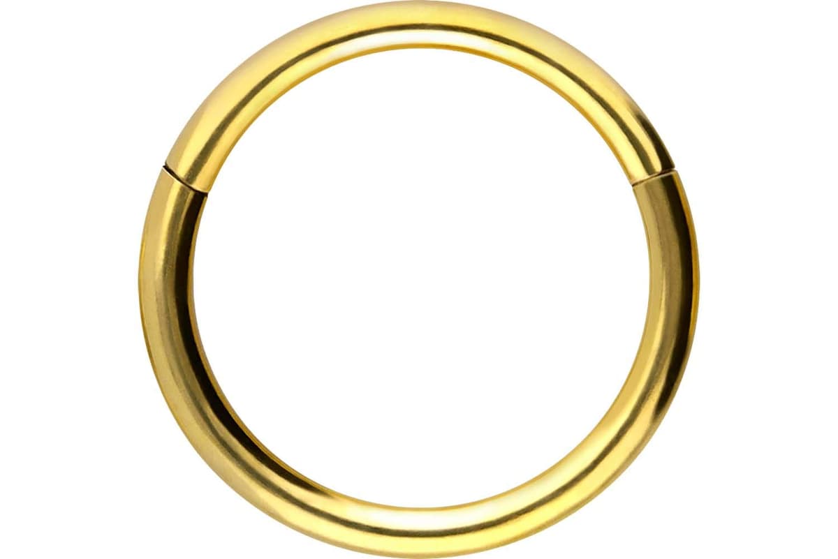 PIERCINGLINE Anillo segmento Clicker de acero quirúrgico – Piercing en oro, plata, rosa, negro o azul – para nariz, tabique, oreja, hélice o tragus — view 20