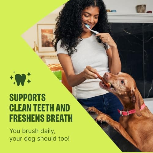 Wellness WHIMZEES Brushzees Natural Dog Dental Treat, VOHC Accepted Chews, Freshens Breath, Large Size, 4.2 oz Bag, 2 Count — view 3