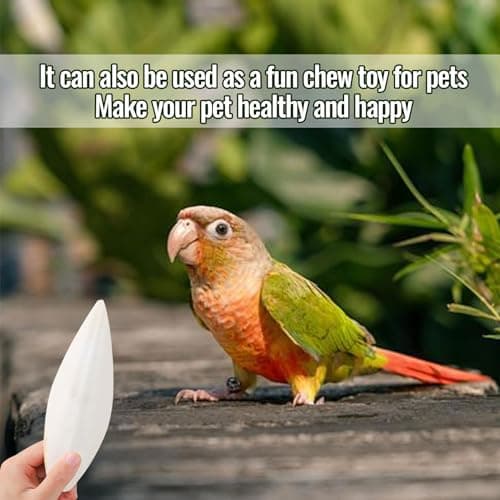 10Pcs Bird Cuttlebone Cuttlefish Bone, Bird Cage Food Cuttle Bone, Parakeet Chew Toy Calcium Stone Beak Exercise for Birds Parrots Cockatiels Budgie Snails Reptiles - 4-6cm — view 5