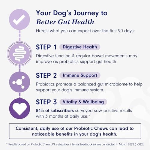 PetLab Co. Probiotics for Dogs - Support Gut Health, Itchy Skin, Seasonal Allergies, and Yeast with Each Tasty Chew - Dog Probiotics - Safe for Small, Medium and Large Dogs - Packaging May Vary — view 4