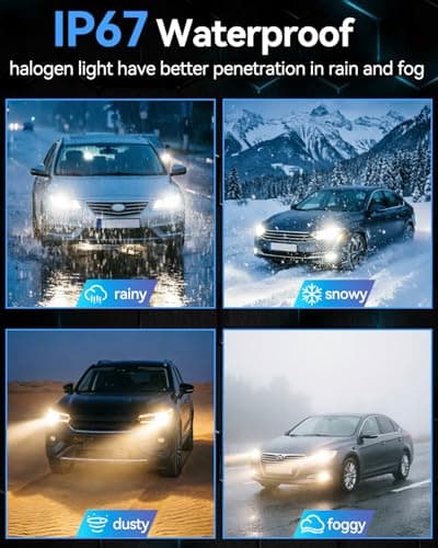 NEWBROWN H1 Headlight Bulb H1 Halogen Headlight Bulb 5000K Super White Light Long Life Replacement P14.5S 12V/55W (H1, 2 Pack) — view 6