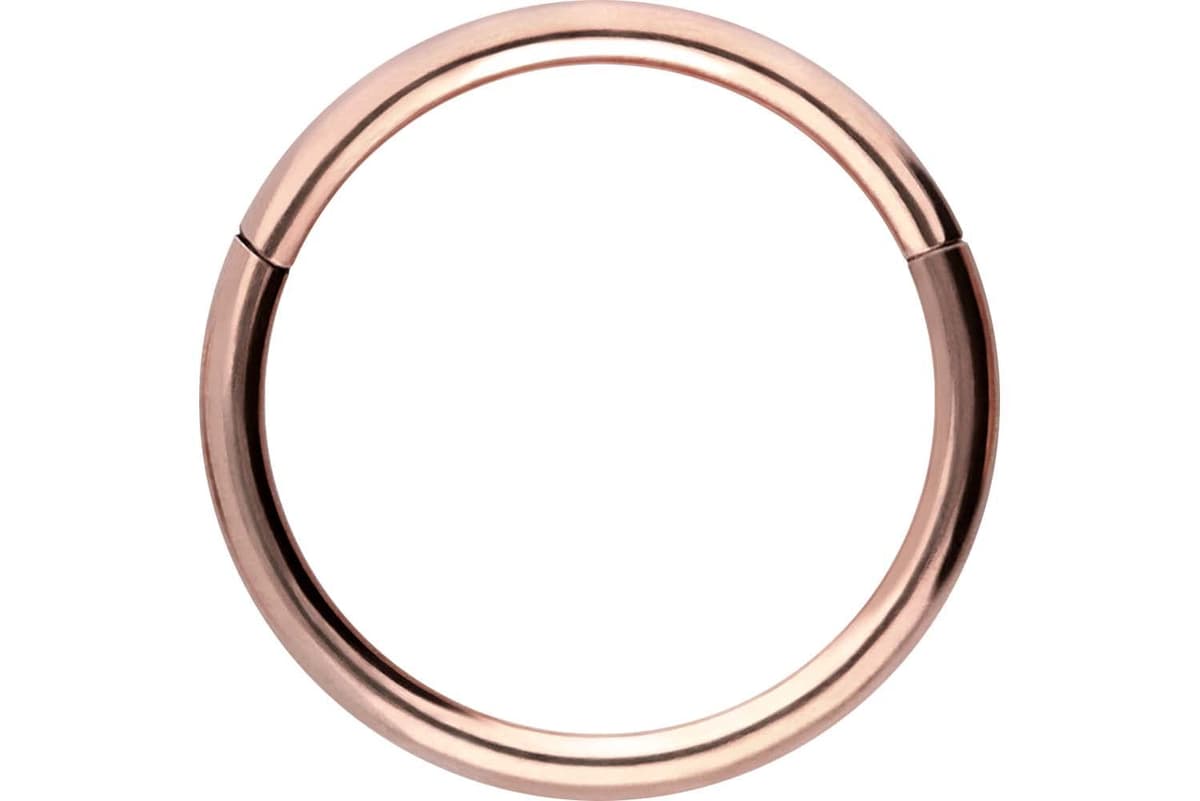 PIERCINGLINE Anillo segmento Clicker de acero quirúrgico – Piercing en oro, plata, rosa, negro o azul – para nariz, tabique, oreja, hélice o tragus — view 48