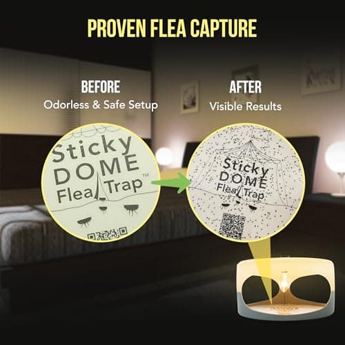 ASPECTEK Sticky Dome™ Flea Trap – 2 Pack | Indoor Insect Trap with 2 Sticky Discs, Odorless (White) — view 6