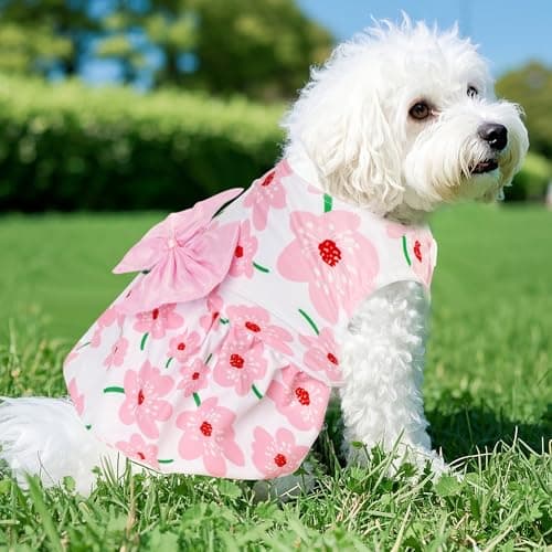 choyaxo Floral Dog Dress Cute Dog Skirt Pet Dress Summer Pet Clothes for Puppy Small Cats — view 3